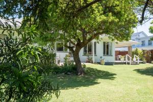 a white house with a tree in the yard at Secret Cottage in the Gardens in Knysna