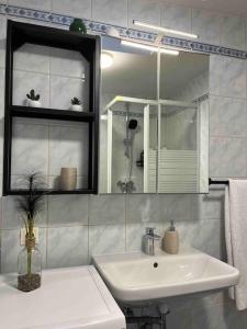 ein Bad mit einem Waschbecken und einem Spiegel in der Unterkunft schickes & gemütliches Studio in Wien