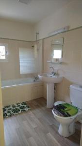 a bathroom with a toilet and a sink and a tub at La Fricatour au Domaine de Brandeau in Blasimon