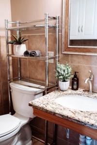 een badkamer met een toilet, een wastafel en een spiegel bij Spacious Five-Bedroom Bliss in Fairlawn +42 foto's