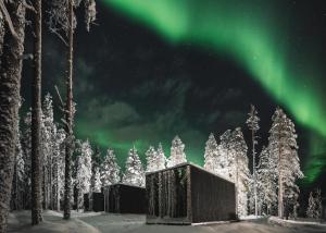 an aurora over a snow covered forest with trees at Levi OloResort Suite in Levi