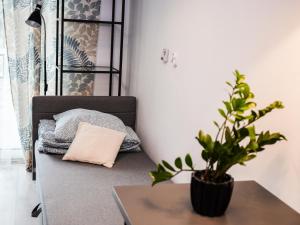 a couch with a pillow and a plant on a table at ADLER Apartments --prywatny taras przy pokoju, dostęp na kod -- BEZPŁATNY PARKING in Łódź