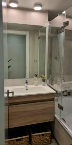 a bathroom with a sink and a shower at El Jardín de Galatea in Alcalá de Henares