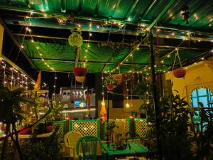 Black Pepper Home Stay في أودايبور: غرفة ذات سقف أخضر مع أضواء ونباتات