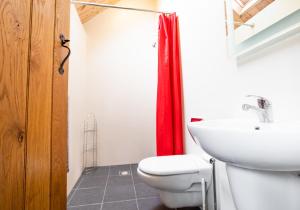 un bagno con un water bianco e un lavandino di Ysgubor - Tranquil space for two a Saint Dogmaels