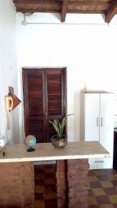 a table with a potted plant on top of it at Doña Isabel 2 in Gualeguay