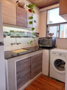 eine kleine Küche mit Spüle und Waschmaschine in der Unterkunft Apartamento esq Rambla y centrico in Montevideo