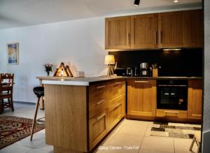 a kitchen with wooden cabinets and a counter top at Villa les Dahlias in Le Mont-Dore
