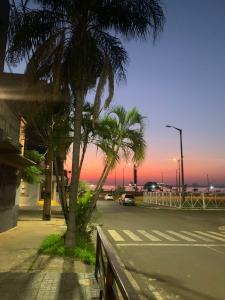 une rue bordée de palmiers dans l'établissement Hotel Renty Beach, à Encarnación