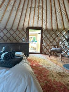 卡迪根的住宿－The Yurt @ Penbanc Pasture，蒙古包内带一张床和椅子的房间