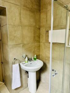 La salle de bains est pourvue d'un lavabo et d'une douche. dans l'établissement Royal Mansion Lodge, à Johannesbourg
