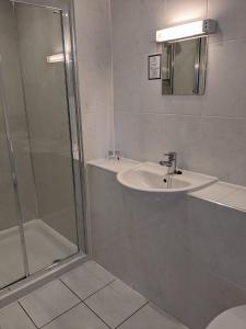 y baño con lavabo y ducha. en Bennachie Lodge Hotel in Kemnay, en Inverurie
