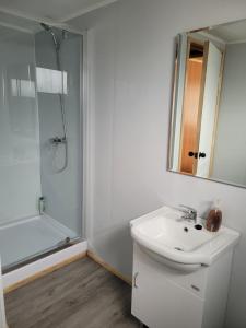 a white bathroom with a sink and a shower at Hostal familiar traveltour El Campesino in Puerto Natales +17 photos