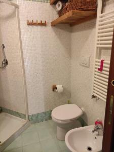 W łazience znajduje się toaleta, prysznic i umywalka. w obiekcie casa di Alice, castel del giudice w mieście Isernia