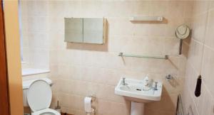 a bathroom with a toilet and a sink at Ness City Apartment in South Kessock