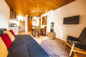 TV a/nebo společenská místnost v ubytování Ferienwohnung 1 2 3 (Curuna)