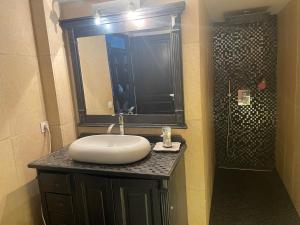 een badkamer met een wastafel en een douche bij Villa avec Pool House au cœur des vignes - Lubéron in La Tour-dʼAigues