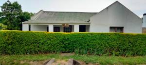 a white house with a large hedge in front of it at 63 On Main in Zuurbraak