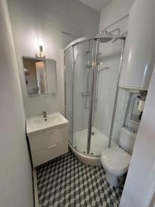 W łazience znajduje się prysznic, toaleta i umywalka. w obiekcie Appart du Théâtre w Caen