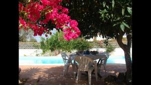 une table et des chaises sous un arbre avec des fleurs roses dans l'établissement Lugar das Andorinhas, à Albufeira