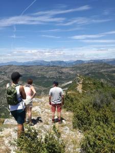 Φωτογραφία από το άλμπουμ του La plume du Ventoux suite 305 σε Mollans-sur-Ouvèze