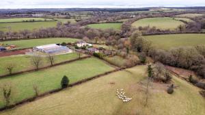 an aerial view of a herd of animals grazing in a field at The Piggery in Witheridge