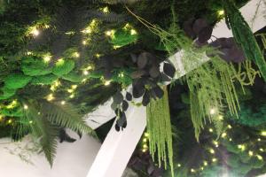 a christmas tree with lights and green plants at Le Green : Studio centre-ville*proche gare*parking in Vesoul