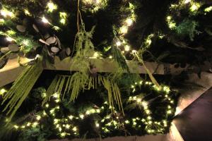 uma árvore de Natal com luzes brancas em Le Green : Studio centre-ville*proche gare*parking em Vesoul