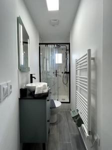 Ένα μπάνιο στο appartement proche de Paris Cosy et Lumineux +19 φωτογραφίες