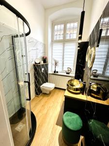 a bathroom with a shower and a toilet in it at Apartamenty Dream Place in Toruń
