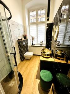 a bathroom with a shower and a toilet at Apartamenty Dream Place in Toruń