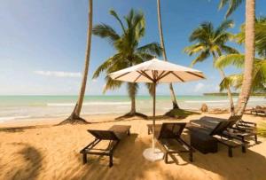 una playa con sillas y sombrilla y el océano en Apartamento Coson Bay Las Terrenas, en Las Terrenas