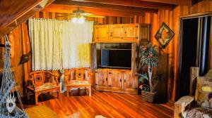 a living room with a television and wooden walls at Casa Europeia com Lareira & Piscina em Indaiatuba in Indaiatuba