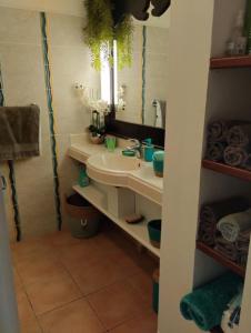 a bathroom with a sink and a mirror at Sainte-Anne in Sainte-Anne