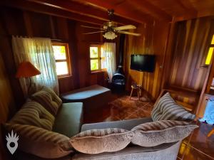 uma sala de estar com um sofá e uma televisão em Chalé europeu com vista para natureza no interior em Indaiatuba