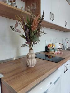 un vaso con fiori su un bancone in cucina di Apartman Jereza Prijedor a Prijedor