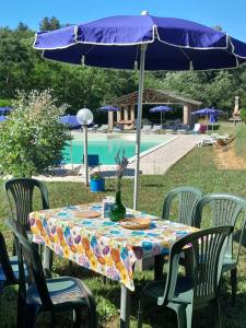 einen Tisch mit einem Sonnenschirm und Stühlen sowie einen Pool in der Unterkunft Poggio dei Michelazzi in Fauglia
