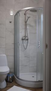 a shower with a glass door in a bathroom at Gallery Elit Hotel in Dunaivtsi