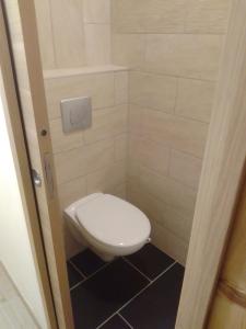 a bathroom with a toilet in a small room at Appt Ponteil in Les Deux Alpes +9 photos