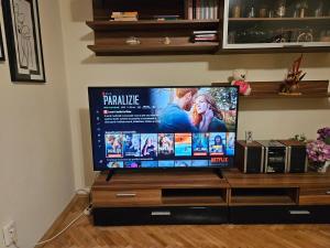a flat screen tv sitting on a entertainment center at Sol apartaments 3 camere in Târgu-Mureş