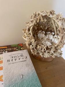 a book sitting next to a bowl with birds in it at Yoronto - Vacation STAY 18850v in Yoron