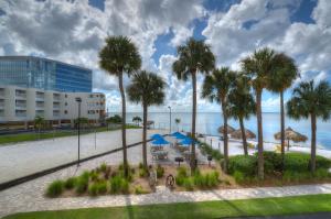 widok na plażę z palmami i budynek w obiekcie Casa del Sol- Waterfront with heated pool and WIFI w mieście Tampa