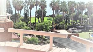 uma vista a partir da varanda de uma casa com palmeiras em Apartamentos varios con 2 dorm en Marina Dor , la playa de Amplaries , vista lateral al mar em Oropesa del Mar