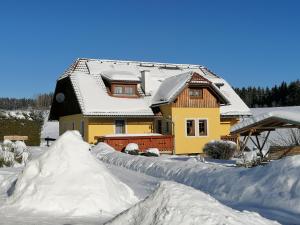 a house covered in snow with a snow covered driveway at Hotel Gasthof Seeblick in Zeutschach