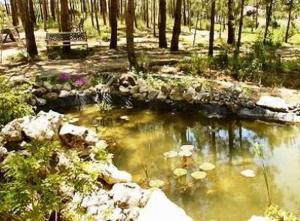 a park with a pond and a bench in the woods at Quinta Dos Amarelos no Meco in Aldeia do Meco
