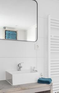 a bathroom with a sink and a mirror at Wildzicht Cosy Cabins in 't Zand