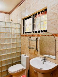 La salle de bains est pourvue de toilettes et d'un lavabo. dans l'établissement Chateau La Princesa with cozy terrace, à Puerto Princesa