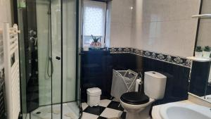 een badkamer met een toilet, een douche en een wastafel bij Ana Paula House in Aveiro