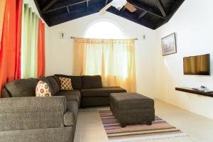 sala de estar con sofá y TV en Cabaña Papaya: 3br 2bth Retreat!!, en Falmouth