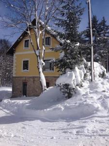 une maison recouverte de neige et d'arbres dans l'établissement Familien-Apartment in kleiner Waldvilla Semmering, 